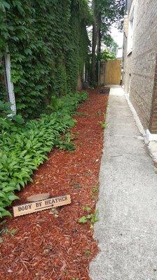 Walk up the left side of the house to enter through fence.