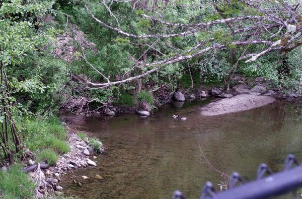 View of the river from the park