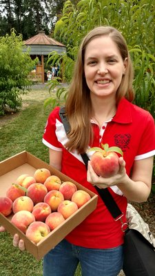 The peaches were like something out of a magazine. They were so juicy and perfect!