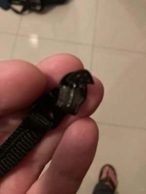 Snapped Zipper (bottom view)