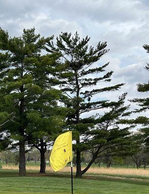 Eagle's nest behind #13 green