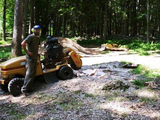 Stump grinding, part of our full tree service company.