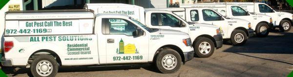 All Pest Solutions