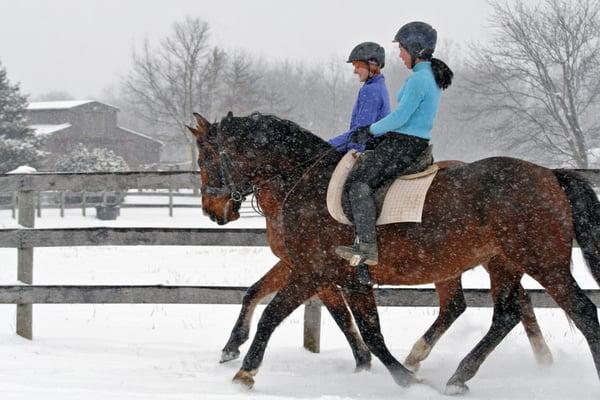 Forrest Hill Farm & Kaiser Dressage Training Center