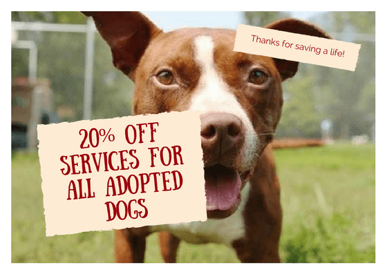 Receive 20% off training for any dog adopted from a licensed rescue or shelter