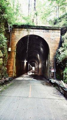 Coots Lake trail head of the silver comet trail.   800 foot long trestle bridge.