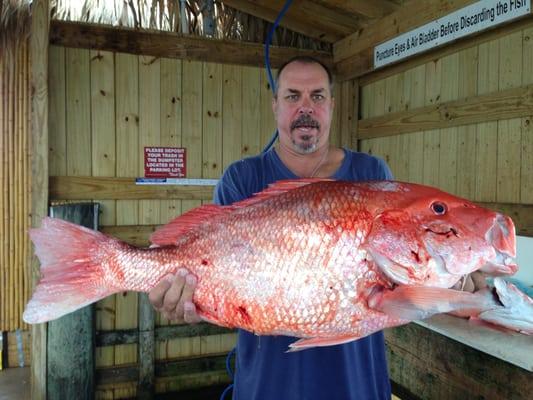 Big red snapper.