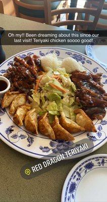 Family platter teriyaki chicken with potstickers and salad.