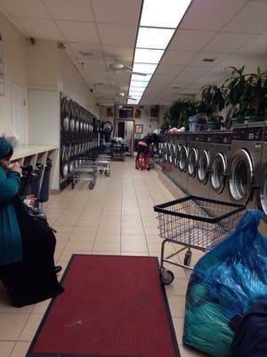 Long line of different size washing machines. Also the best dryers I've ever came across.