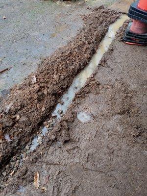 French drain install