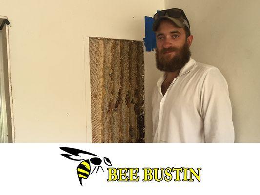 Technician in house with bee hive