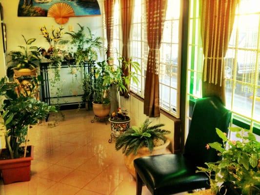 Homey waiting area with lovely plants.