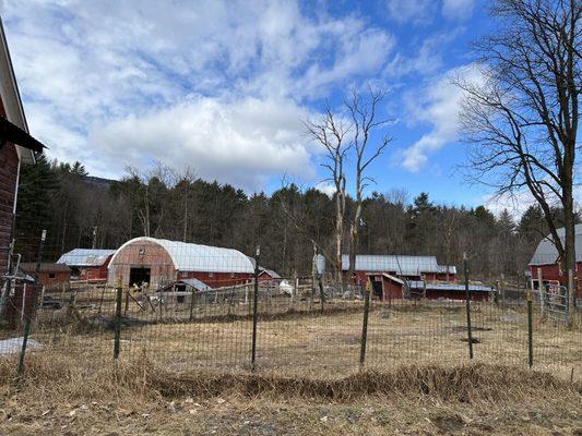 View of different barns