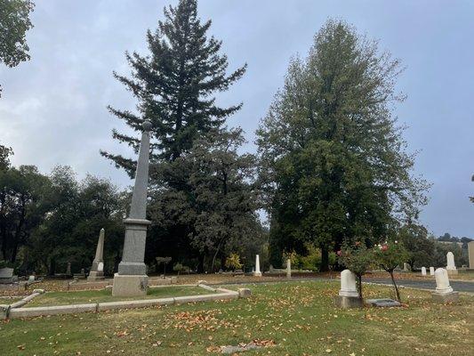 Old auburn cemetery, standing where great grandma Sarah is buried