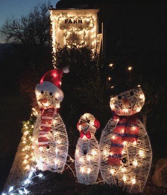 Got this snowman family and most of the christmas lights in the backgroud