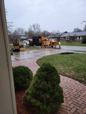 Wow. Look at that clean-up. On the left, the owner is picking up the logs and taking them to the back of my property.