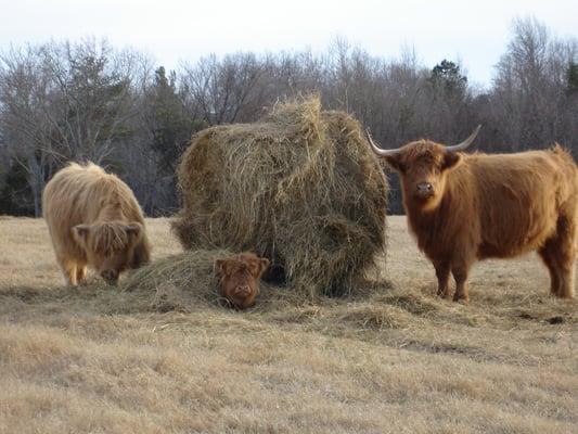 Hudson Heritage Farms