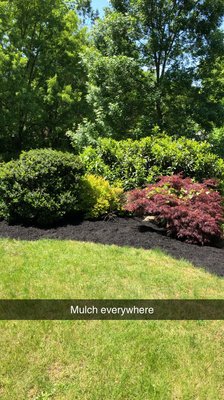 Mulch