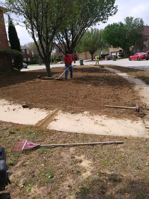 Prepping to install grass.