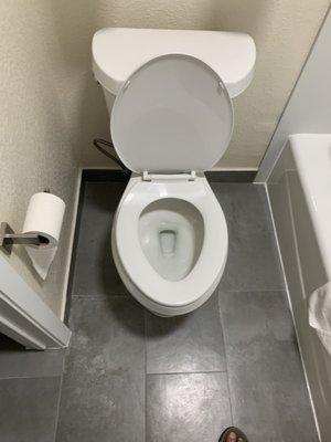 Toilet meant to be used by an adult unlike the one we experienced at the roadway in in Caldwell!