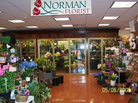 Norman Florist