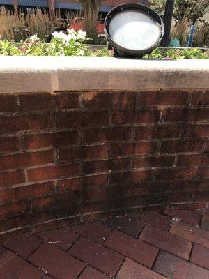 Before 519 treated the Brick & Limestone, yes we clean all exterior surfaces.