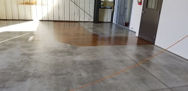 Stain and polish concrete