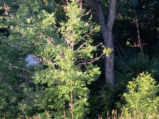 People living in tents right off the trail.