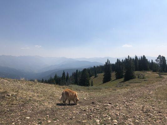 Garnet Mtn Fire Lookout