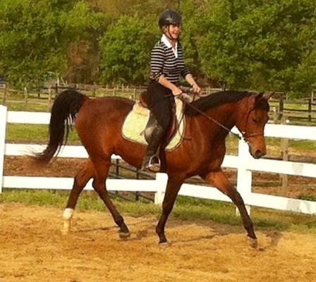 Stephanie Merkel, barn owner and main instructor at Merkel Farms, rides her horse Mirror Image