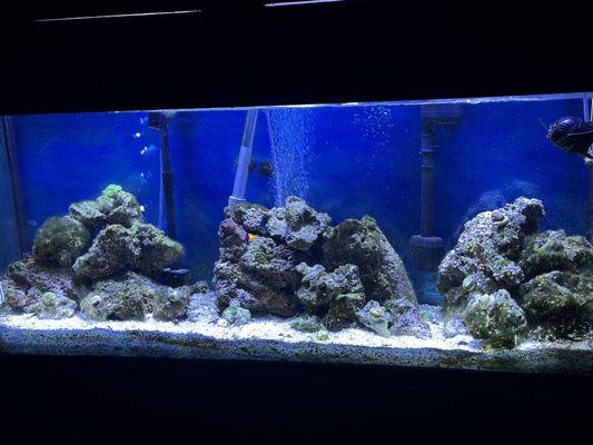 Easy Aquariums