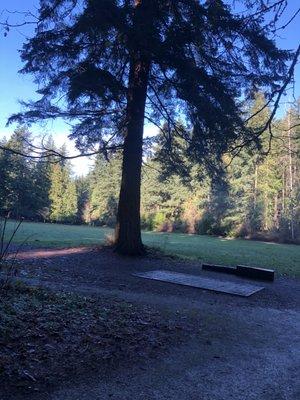 Frisbee Golf platform and big field to play in!