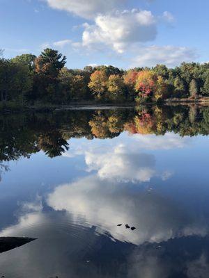 Beautiful October Afternoon