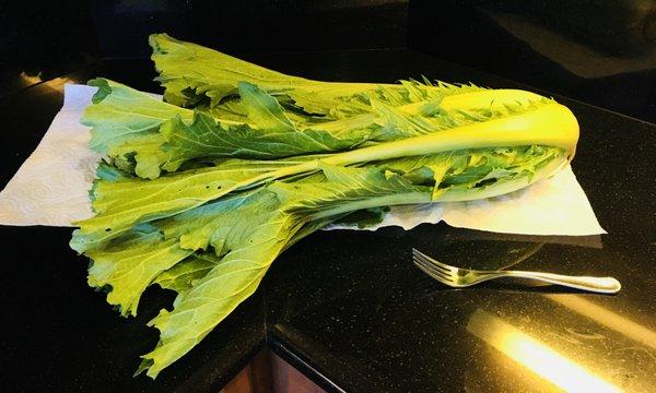 Chinese Mustard Cabbage from Crooked Sky Farms