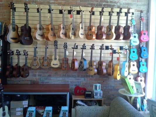 Come to Bristol's Recycled Reading and visit the Wall of Ukes