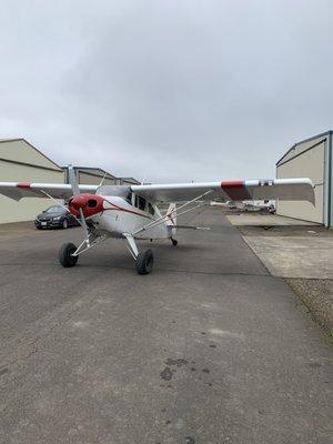 Pa22/20 "Caitlyn"