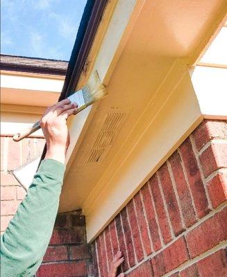 Fascia and Siding Repair- Paint to Match.