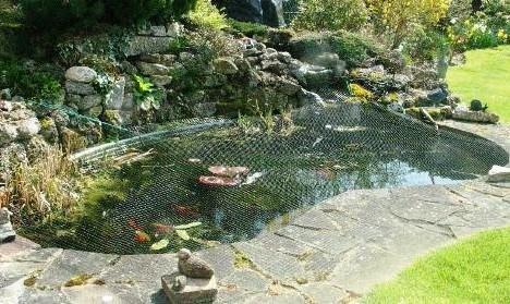 Pond Netting and Dome