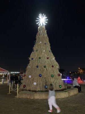 Lights at the Farm