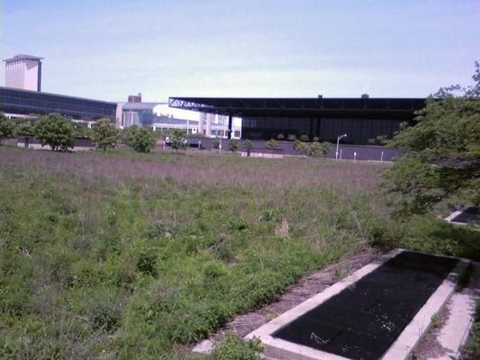 Praire grass above an underground parking lot!