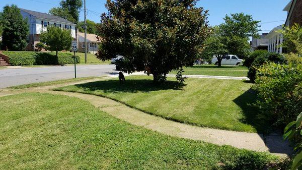 Sidewalk Edging and Manicured Lawn