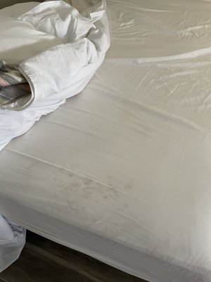 Stains (mildew?) on the sheets at the foot of the bed.