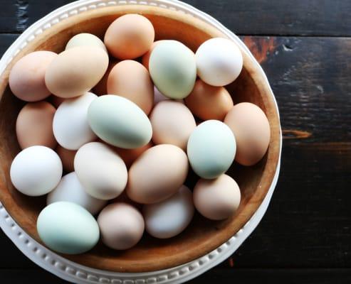 Come grab a dozen or two of our pastured raised eggs.