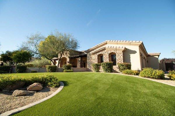 This is our 75oz Austin Fescue installed in Scottsdale