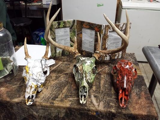 New Creations Taxidermy