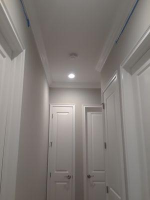 Crown Molding and Paint