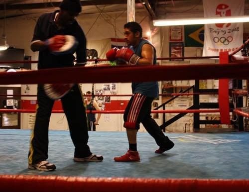 Glove work with boxer