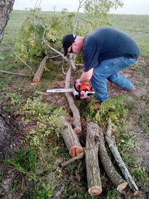 Tree Trimming and Cut Up -- Bundling included for free residential waste pickup