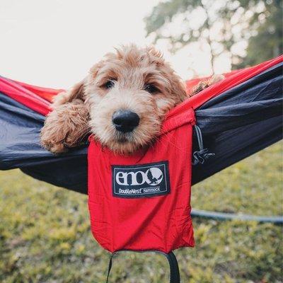 Do you ENO?  Hammocks for all!