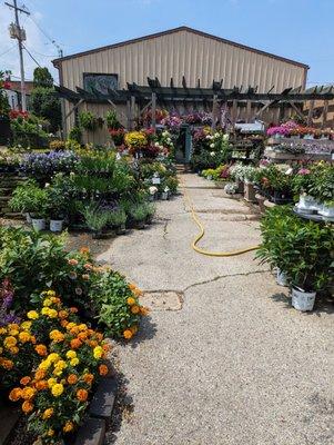 Green Wellies Garden Shop